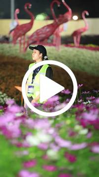 BIB:  <button type="button" onclick="openModal(27590988)" class="btn btn-primary btn-sm float-right" data-toggle="modal" data-target=".modal-high-quality">
                <i class="fa fa-download"></i> Download
                </button>